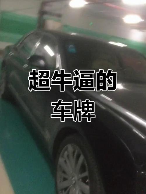 车牌到手却闲置,车主无奈:上牌难成新难题!