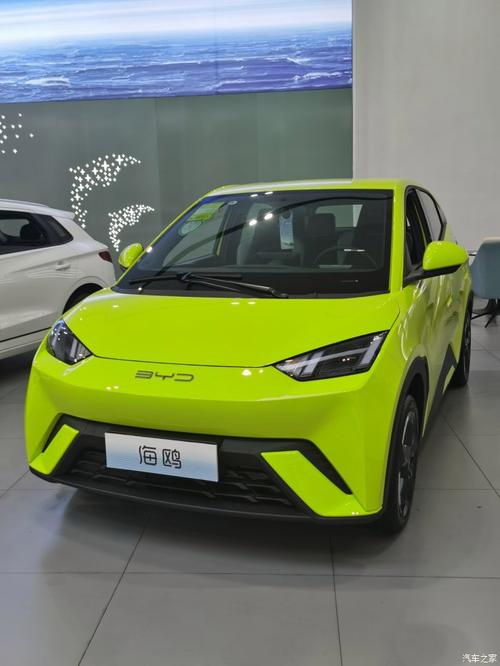张家口新能源车牌靓号诞生,绿色出行新风尚