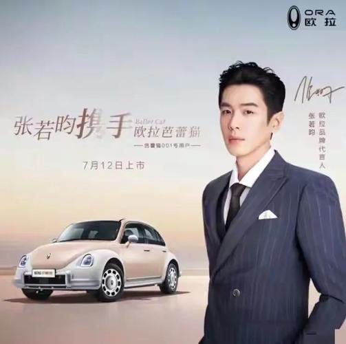 新泰靓号车牌,车牌中的明星