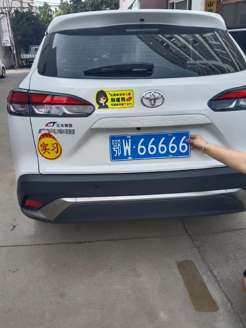 W车牌:你了解这个独特车标背后的故事吗?