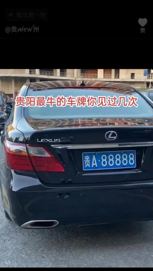 探寻贵阳车牌靓号背后的故事:直播间里的热门焦点