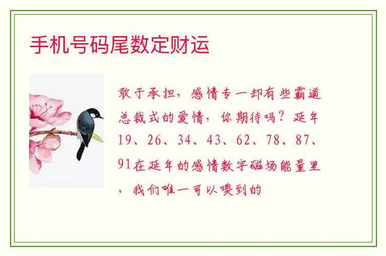 车牌号:数字能量学带你解码运势与财运