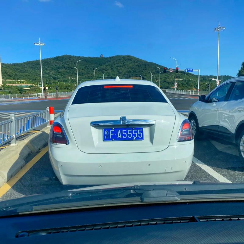 廊坊车牌惊现豹子靓号,车界热议