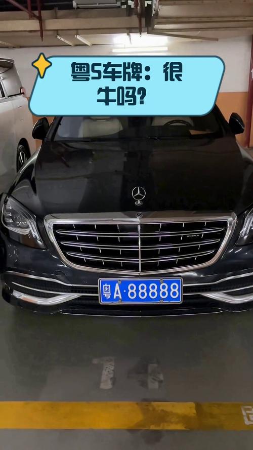 潮州车牌粤S123456”横空出世,抢眼靓号引发热议!