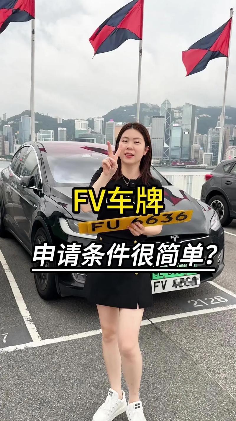 探秘:FV车牌中的靓号之谜