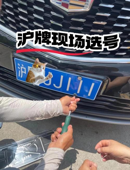 探秘:FV车牌中的靓号之谜