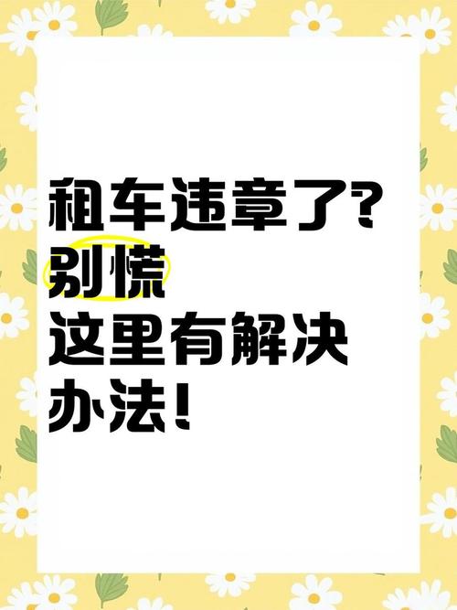 租车司机遭遇违章困扰?如何处理租车牌违章问题!
